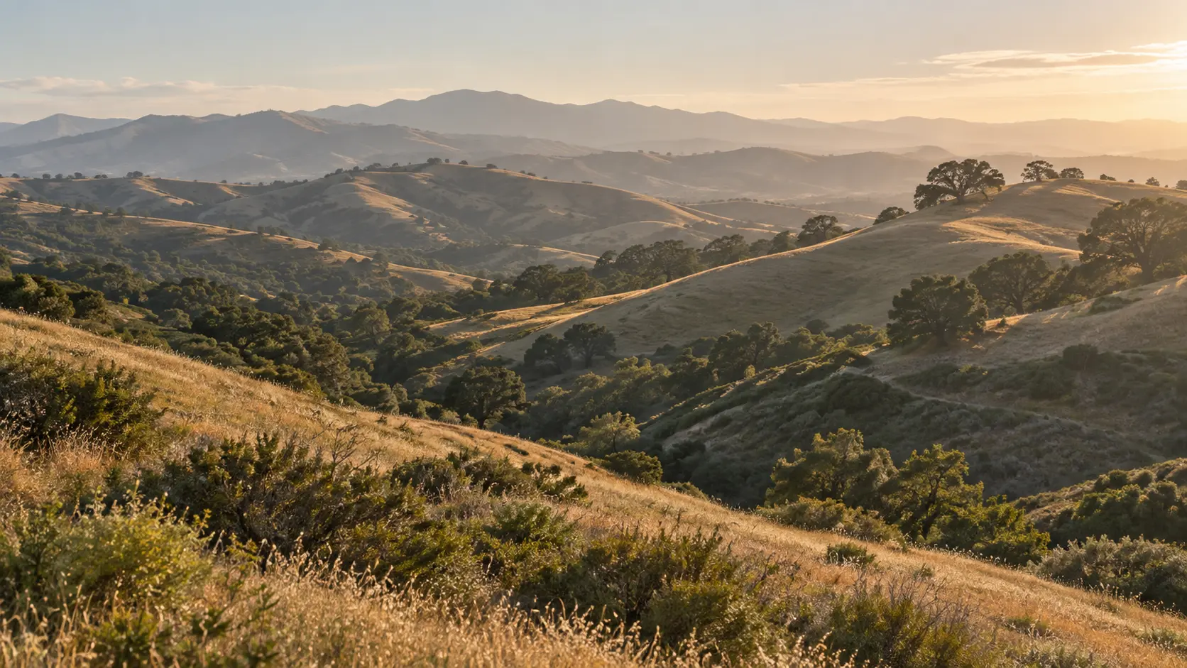 Original rendering inspired by the rolling hills and native landscape of Chino Hills, California